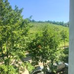 IMG_20260710_094152714_HDR
